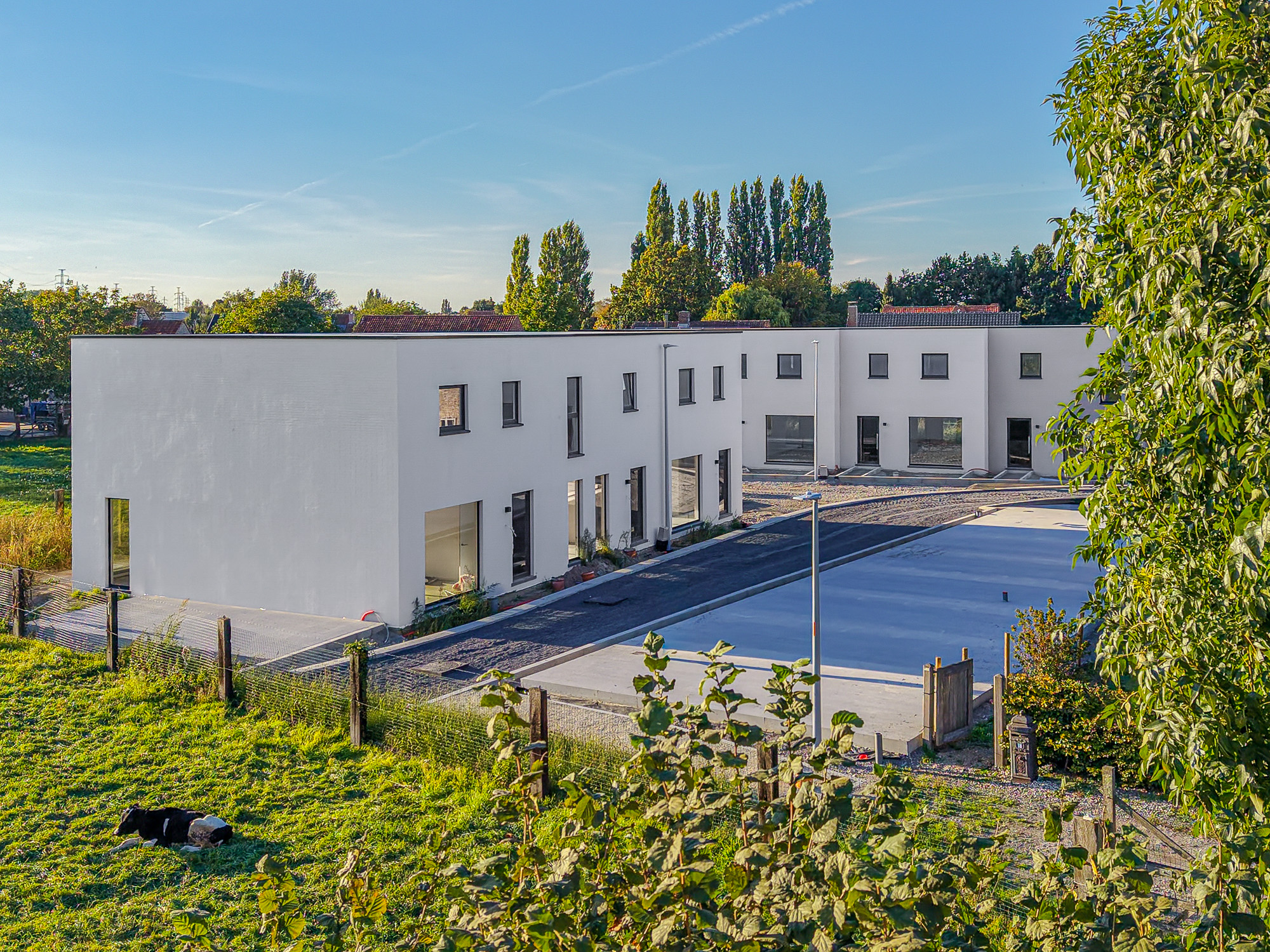 De Zwingelarij in Hulste